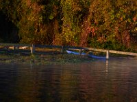 10-11-15-Piscataway-24074