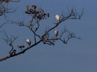 10-11-15-Piscataway-24425