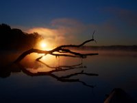 10-12-15-Mattawoman-25083