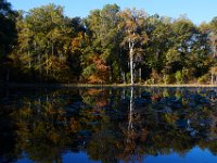 10-12-15-Mattawoman-25626