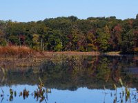 10-12-15-Mattawoman-25829
