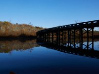 10-16-15-Mattaponi-26222