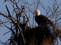 10-16-15-Mattaponi-26356