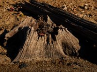 10-18-15-Rocky Gorge-26657
