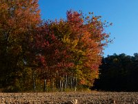10-18-15-Rocky Gorge-26679