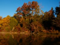 10-19-15-Nanjemoy-26751