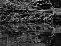 10-19-15-Nanjemoy-26787