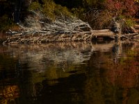 10-19-15-Nanjemoy-26792