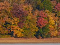 10-21-15-Triadelphia-26956