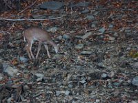 10-21-15-Triadelphia-27165