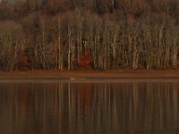 11-08-15-Triadelphia-27495