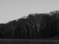 11-15-15-Nanjemoy-27819