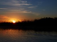 11-15-15-Nanjemoy-27831