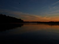 11-15-15-Nanjemoy-27835