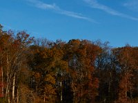 11-15-15-Nanjemoy-28115