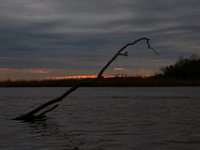 03-12-16-Nanjemoy-20610