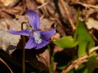 04-16-16-Rocky Gorge-21104
