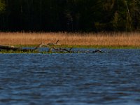 04-24-16-Nanjemoy-22081
