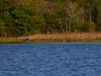 04-24-16-Nanjemoy-22085