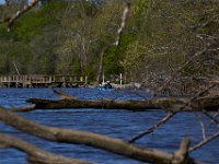04-24-16-Nanjemoy-22256