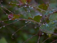 05-07-16-Piscataway-22502