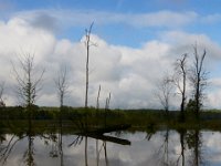 05-07-16-Piscataway-22638
