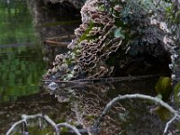 06-04-16-Mattawoman-23727