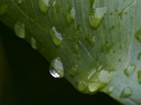 06-04-16-Mattawoman-23817