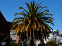 06-28-16-California-26908