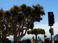 06-29-16-California-27297