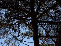 06-29-16-California-27376