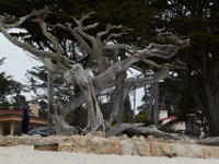 06-30-16-California-27454