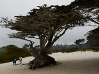 06-30-16-California-27554