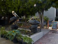 06-30-16-California-28000