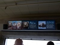 07-01-16-California-28083