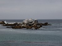 07-01-16-California-28468