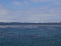 07-01-16-California-28475