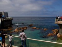 07-01-16-California-28691