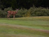 07-01-16-California-28706