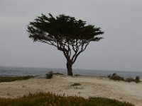 07-01-16-California-28782