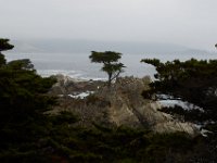 07-01-16-California-29052
