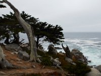 07-01-16-California-29087