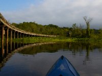 06-24-16-Mattaponi-Creek-25392