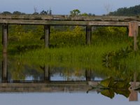 06-24-16-Selbys Landing-25385