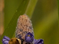 06-24-16-Selbys Landing-25491