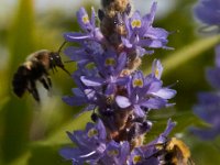 06-24-16-Selbys Landing-25531