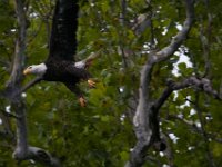 06-25-16-Nanjemoy-25671