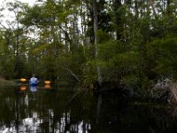 08-01-16-Alligator River-22467
