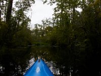 08-01-16-Alligator River-22504