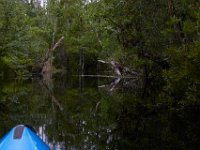 08-01-16-Alligator River-22594